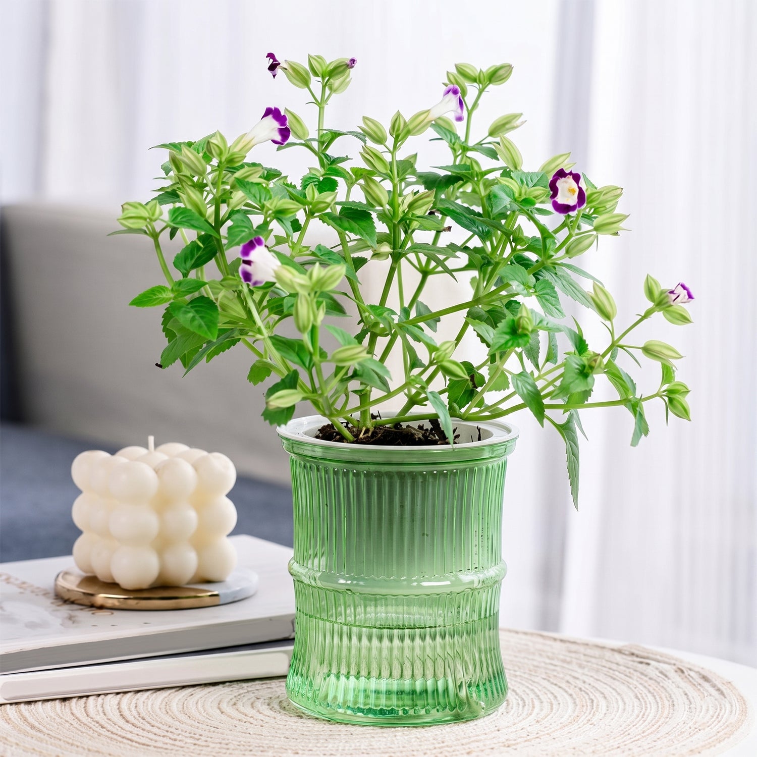 Self-watering Bamboo Style Plastic Flower Pot With Cotton Wick (1 Pc)
